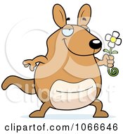 Poster, Art Print Of Pudgy Kangaroo Holding A Flower