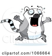 Pudgy Lemur Running Scared