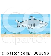 Poster, Art Print Of Shark In The Sea