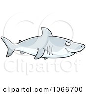Poster, Art Print Of Shark In Profile