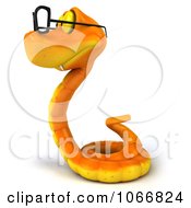 Clipart 3d Orange Snake With Glasses 1 Royalty Free CGI Illustration by Julos