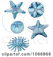 Clipart Starfish And Sea Urchins Royalty Free Vector Illustration by Zooco #COLLC1066866-0152