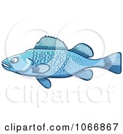 Clipart Blue Largemouth Bass Fish Royalty Free Vector Illustration