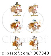 Clipart Turkey Birds Royalty Free Vector Illustration