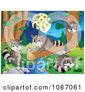 Raccoons Playing By A Stream 3
