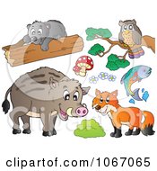 Poster, Art Print Of Forest Animals 1