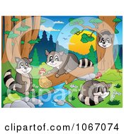 Poster, Art Print Of Raccoons Playing By A Stream 2