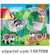 Poster, Art Print Of Mischievous Raccoons 1