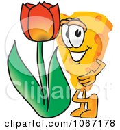 Poster, Art Print Of Cheese Mascot With A Tulip - Royalty Free Vector Illustration