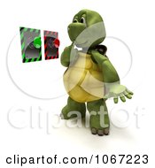 Clipart 3d Tortoise Looking At Buttons Royalty Free CGI Illustration