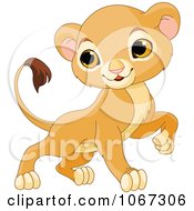 Poster, Art Print Of Brave Baby Lion