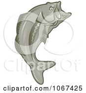 Clipart Leaping Largemouth Bass Royalty Free Vector Illustration