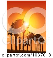 Poster, Art Print Of Tropical Sunset Silhouetting Palm Trees