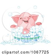 Clipart Happy Piglet Taking A Bath Royalty Free Vector Illustration