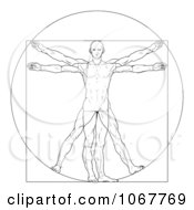 Poster, Art Print Of Sketched Vitruvian Man