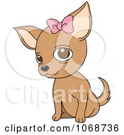 Poster, Art Print Of Female Chihuahua With A Bow