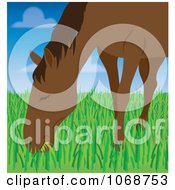 Poster, Art Print Of Horse Grazing In A Field