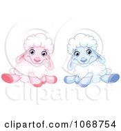 Poster, Art Print Of Sitting Blue And Pink Lambs