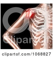 Poster, Art Print Of 3d Female Skeleton With Highlighted Shoulder Pain
