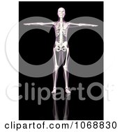 Poster, Art Print Of 3d Female Skeleton Holding Her Arms Out - Royalty Free Cgi Illustration