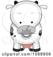 Poster, Art Print Of Cute Cow From The Front
