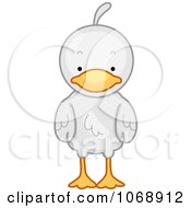 Poster, Art Print Of Cute Duck From The Front