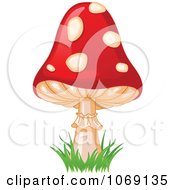 Poster, Art Print Of Fly Agaric Mushroom And Grass