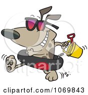 Poster, Art Print Of Beach Dog With An Inner Tube And Toys