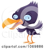 Poster, Art Print Of Purple Squawking Bird