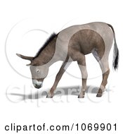 Clipart 3d Mule 1 Royalty Free CGI Illustration by Ralf61