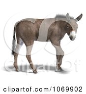 Clipart 3d Mule 2 Royalty Free CGI Illustration by Ralf61