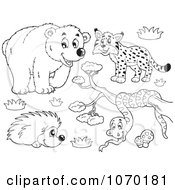 Poster, Art Print Of Outlined Bear Bobcat Hedgehog And Snake