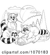 Poster, Art Print Of Outlined Raccoons
