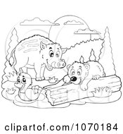 Clipart Outlined Duck Boar And Bear Royalty Free Vector Illustration by visekart