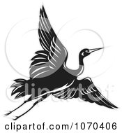 Poster, Art Print Of Black Crane In Flight