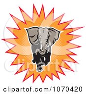 Poster, Art Print Of Charging Elephant And Orange Burst