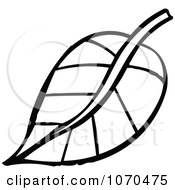 Clipart Black And White Leaf Royalty Free Vector Illustration