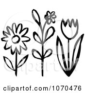 Poster, Art Print Of Black And White Spring Flowers