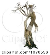 Clipart 3d Ent Tree Standing Tall Royalty Free CGI Illustration by Ralf61