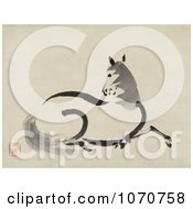 Poster, Art Print Of Beautiful Horse Laying Down