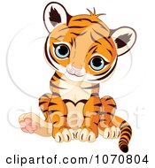 Poster, Art Print Of Cute Sitting Baby Tiger
