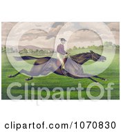 Poster, Art Print Of Jockey Riding On The Back Of A Brown Gelding Leaping Across A Grassy Field