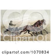 Poster, Art Print Of Man John Murphy Holding A Whip While Driving Two Trotting Horses At The GentlemenS Driving Park In Morissania New York On July 13th 1882