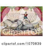 Poster, Art Print Of Audience Watching A Man Standing On The Back Of Two Horses Controlling Them With The Reins