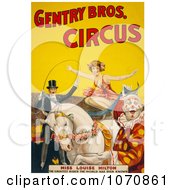 Illustration Of Miss Louise Hilton Of The Gentry Bros Circus Crouching On A White Horse Royalty Free Historical Clip Art by JVPD #COLLC1070861-0002