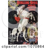 Poster, Art Print Of Madam Ada Castello On A Horse Standing On Its Hind Legs Performing