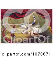 Poster, Art Print Of Circus Acrobat Doing A Hand Stand On A Horse