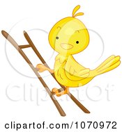 Poster, Art Print Of Bird Climbing A Ladder