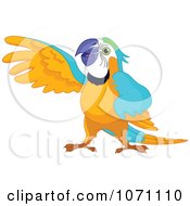Poster, Art Print Of Presenting Macaw Parrot Holding Up His Wing