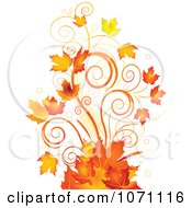 Autumn Swirl And Fall Leaf Flourish